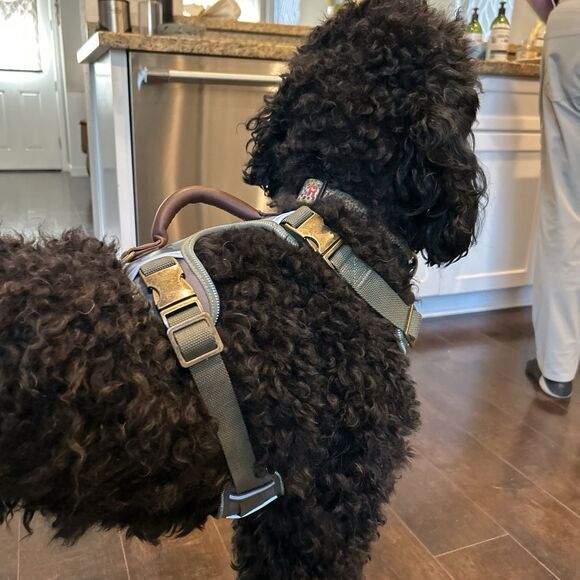 Reddy Camouflage Dog Harness Large XL Green Buckle Reddy - Picture 9 of 11